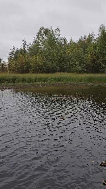 Карелия. Медвежьегорск. Karelia. Medvezhyegorsk