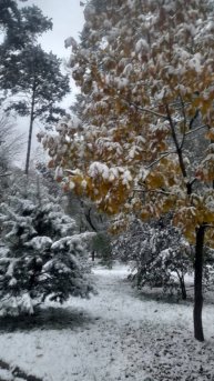 18.10.25#Наш непрдсказуемый#октябрь#