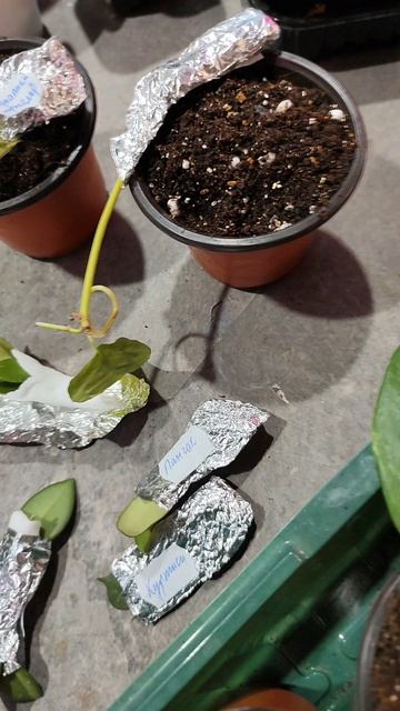 как так получилось?