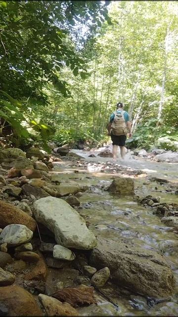 прогулка Харачой ходьба лес