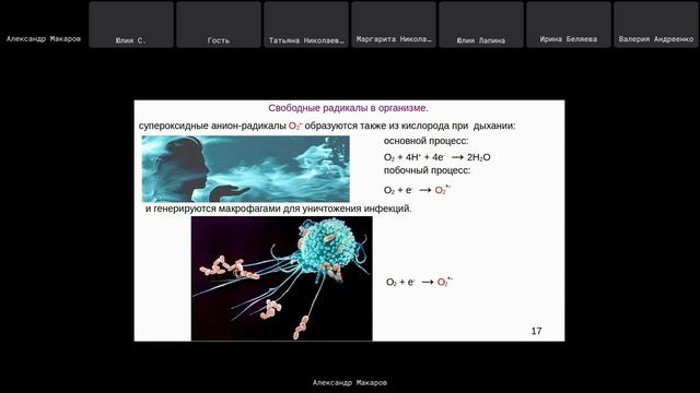 Консультация по результатам лекции 1. Свободные радикалы. Макаров А. Ю.