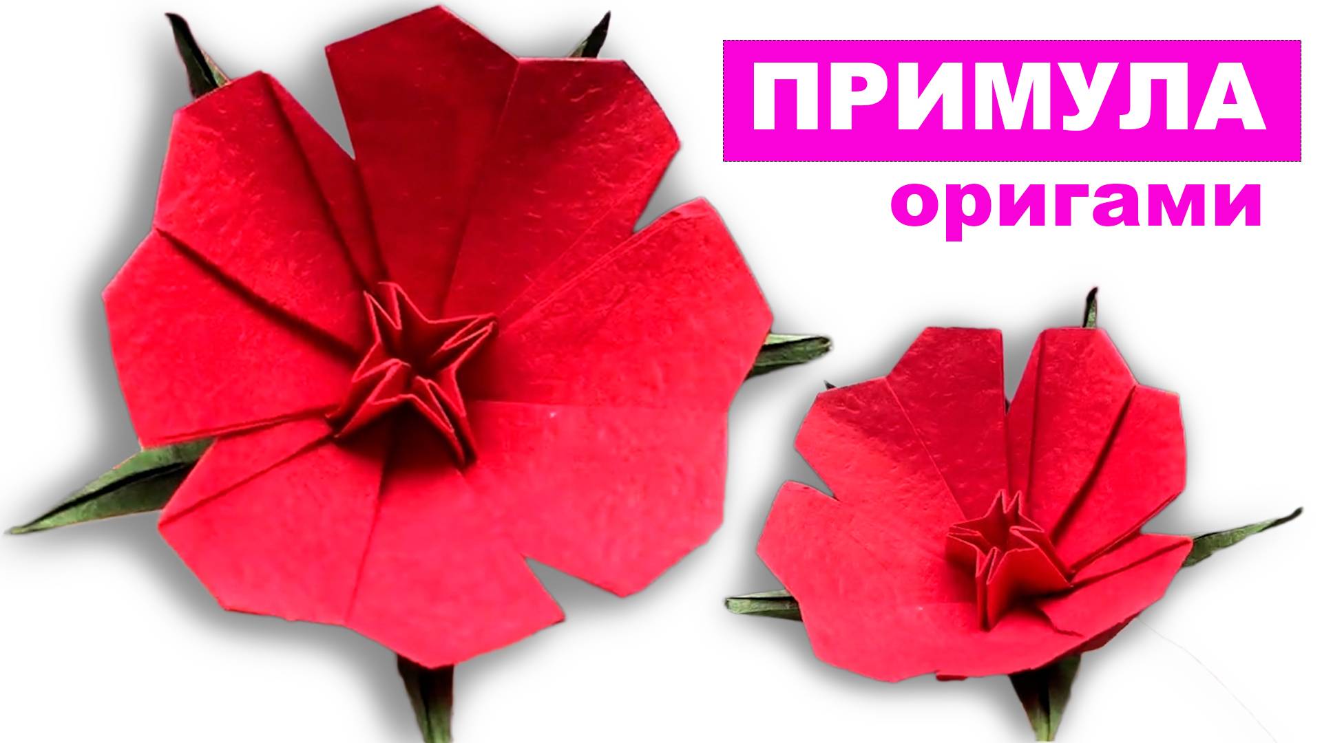 Оригами цветок Примула первоцвет из бумаги. Как сделать оригами Цветы из бумаги.
