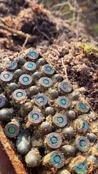 Патроны из песка, раскопки по войне