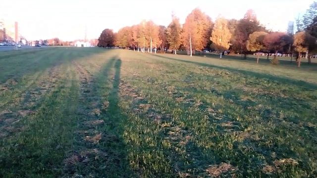 Нарезка из различных видео с красивыми закатами