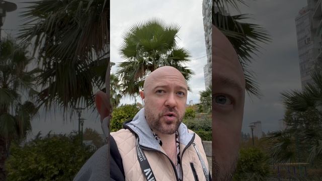 Трамп нашибает Зеленского. Подробности.