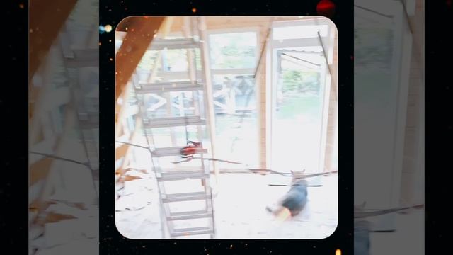 1000037613.mp4 (Собака смотрит на монтаж электропроводки ( распайку р/коробок) в доме А-фрейм)