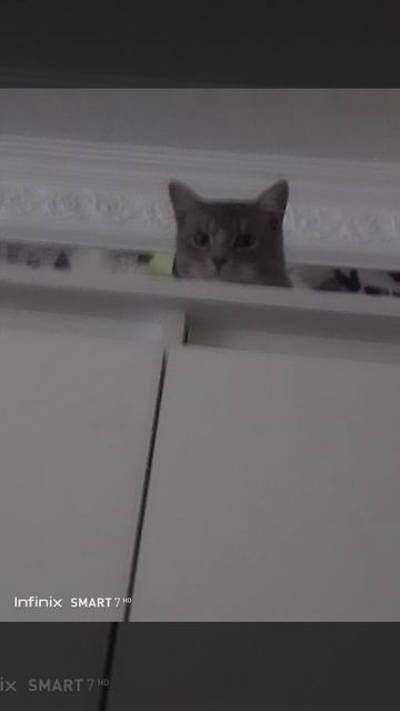 VID_20251019_085259.mp4