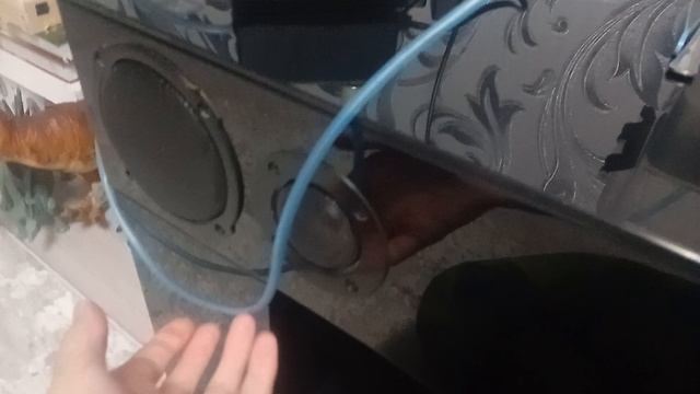 Все питомцы канала — таинственная неизвестность.