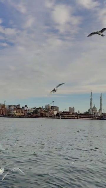 Port Said, Egypt #travel #egyptculture #culturalexperience #egyptianculture #egypt #portsaid #sea