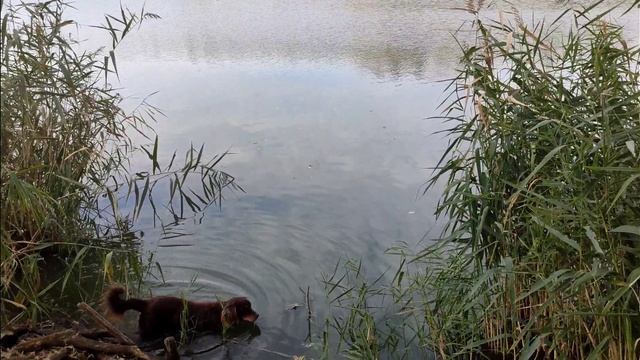 НАЧИНАЕМ НАШЕ ПРИКЛЮЧЕНИЯ НА ЭТОМ КАНАЛЕ