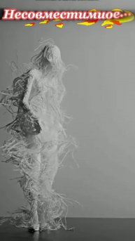 Несовместимое...