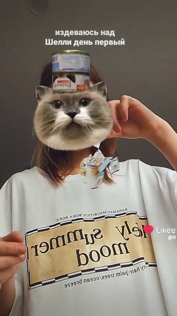 мучаю Шелли ﹥:]