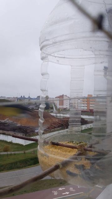 Кормушка для птиц