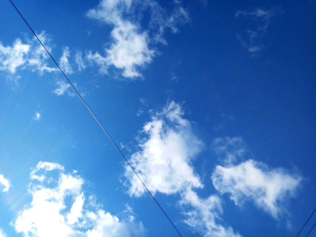 2 часть как я проснулась в домике