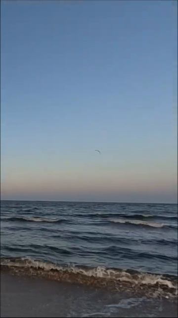 Port Said, Egypt #travel #egyptculture #culturalexperience #egyptianculture #egypt #portsaid #sea