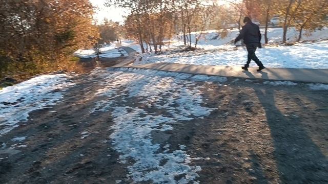 Морозное утро