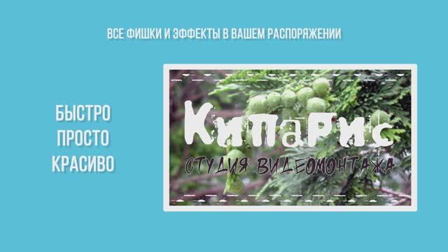 Кипарис (промо)