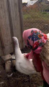 Лайфхак! Как поймать индейку и индюка #ЯжеВика