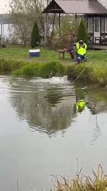 YouCut_20251019_184940367.mp4