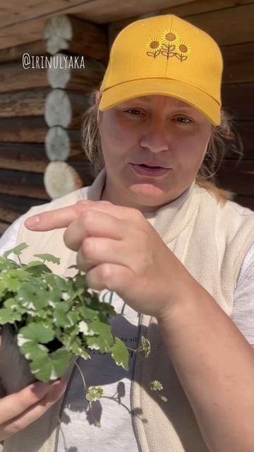 Поговорим про будру вегетативную! ❤️