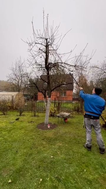 как замзатб ранна после обезк вслте