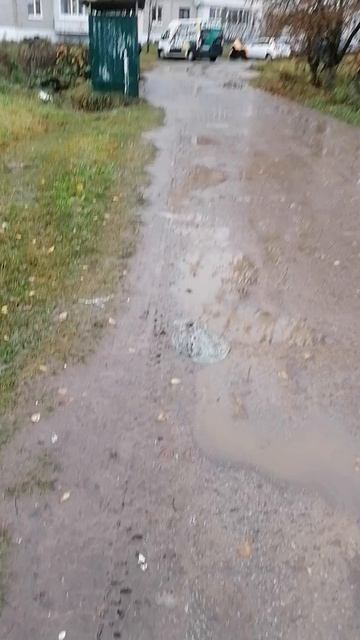 VID_20251017_114833.mp4