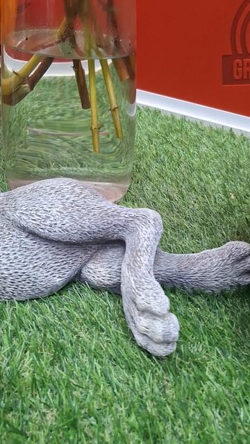 Хочу так же, как этот Зайка🤣#юмор #смешно #смех #смешное #смешноевидео #смешныевидео