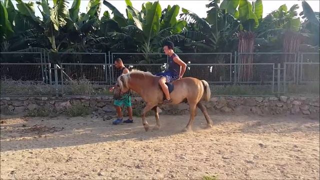 Otisium, Турция, коррекция аутизма - Максимилиан