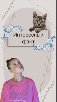 Не забудь подписаться ❤️