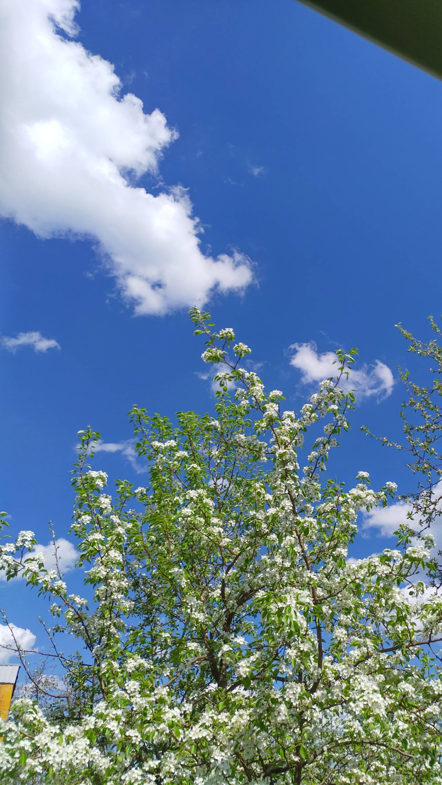 когда ты рядом, я живу