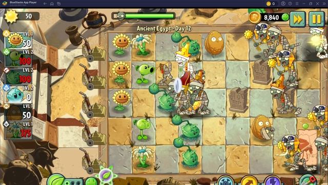 играим вы  зомби против растений