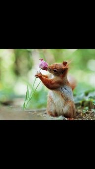 Редкие кадры из природы🌳√5