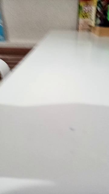 VID_20251019_155538.mp4