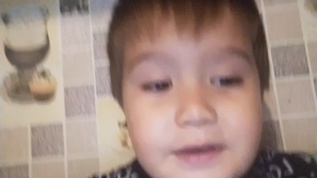 Тамерлан. Волк.