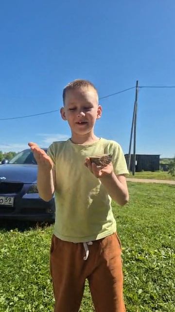 лето 2025, дача, вода в лицо