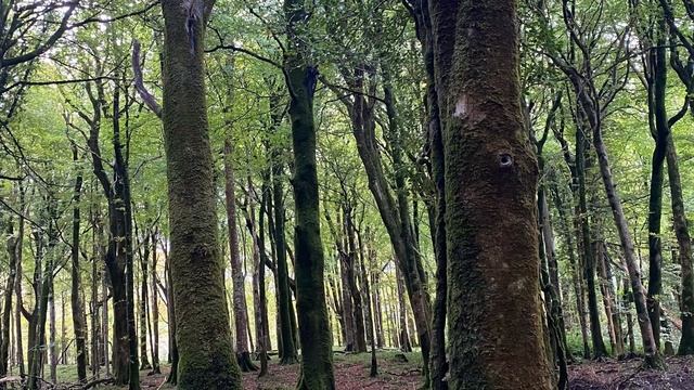 Killarney 19 October