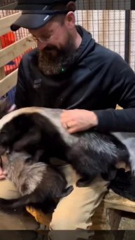 Увлекательных сновидений, друзья!