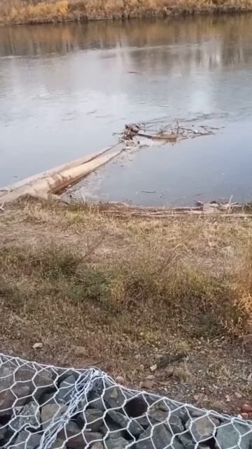 прогулка под дождём