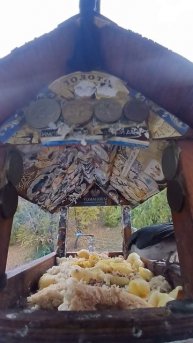 1000003518.mp4Кормушка.19.10.2025г.