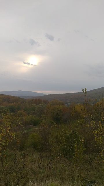 VID20251018162516.mp4