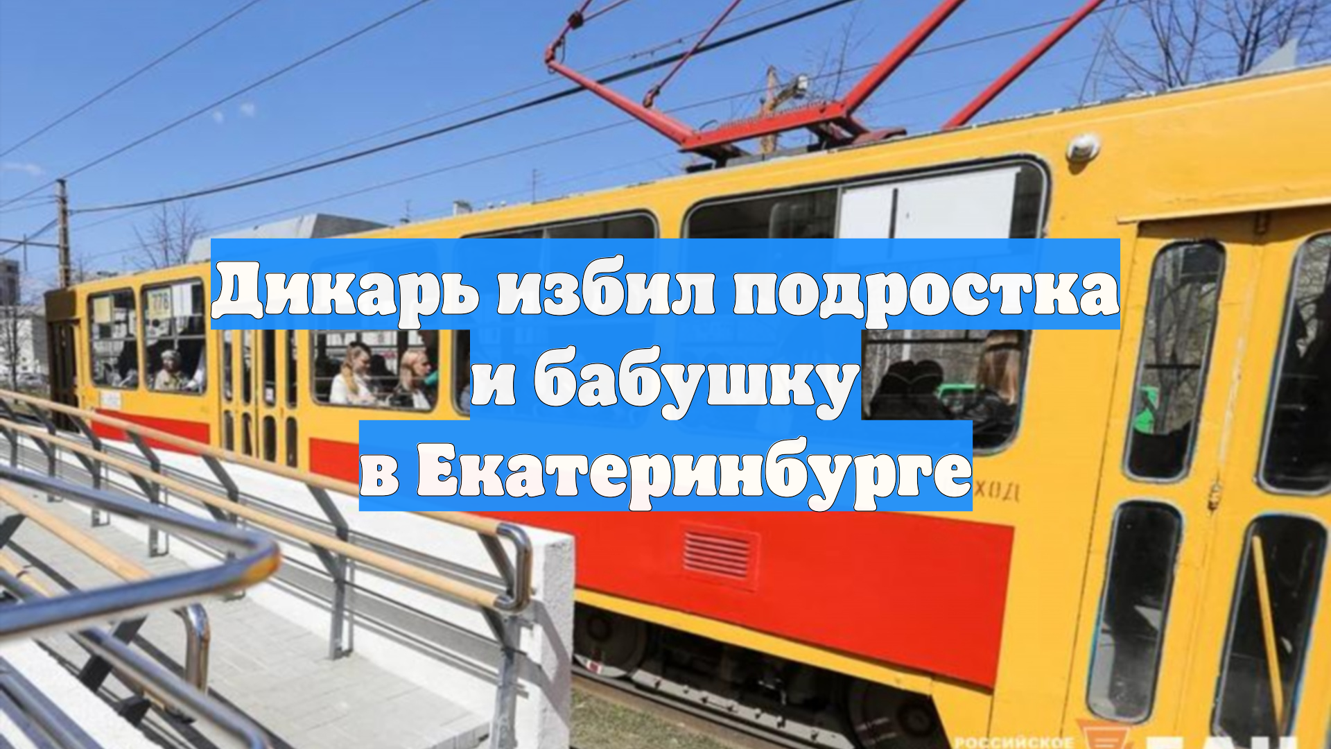 Дикарь избил подростка и бабушку в Екатеринбурге