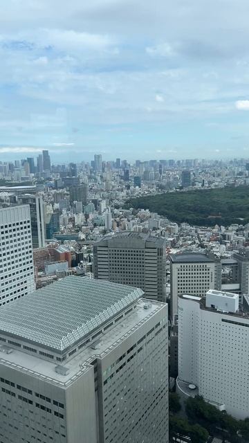 Япония. Токио