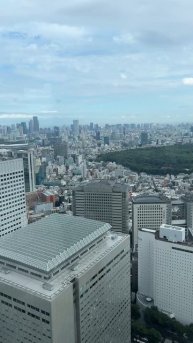 Япония. Токио