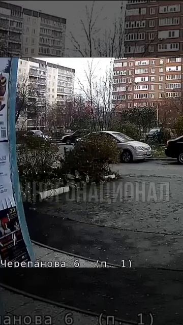 «Я из киргизской диаспоры. Зарежем тебя. Мне плевать на мусоров, я не гражданин России»