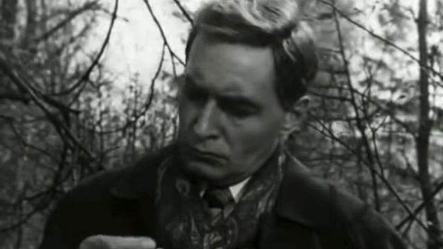 VID_20250722_143247_504.mp4