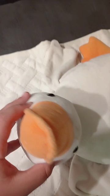 Обзор.на. Утку