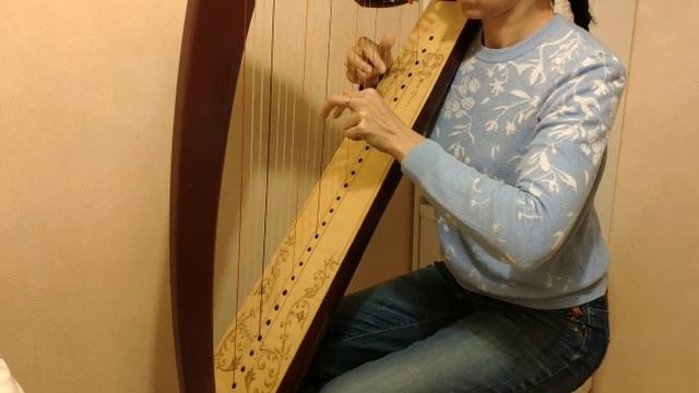 Паучок с нижней терцией