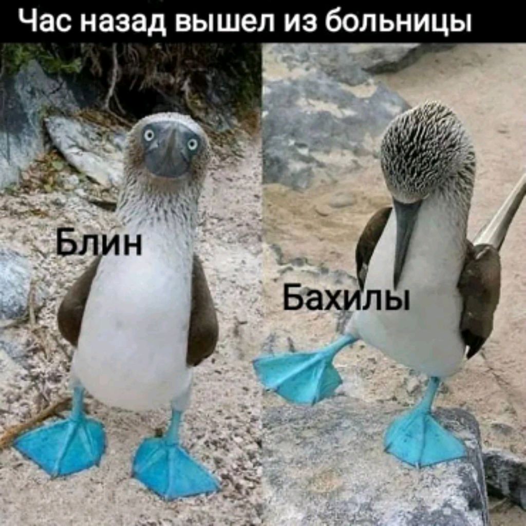 видио