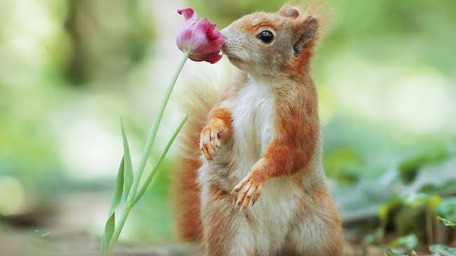 Редкие кадры природы 🌳