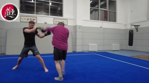 Ушу-саньда в Москве. Отработка техники борьбы!